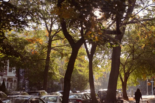 How to Farm a Neighborhood in Brooklyn: A Modern Agent's Playbook